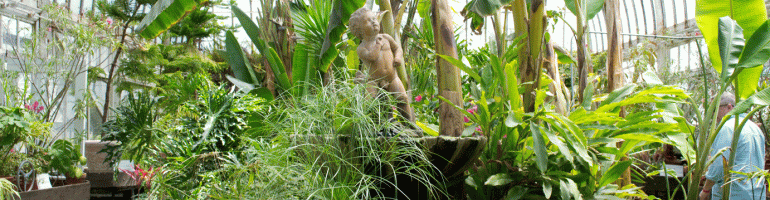 Greenhouse with Cherub Fountain